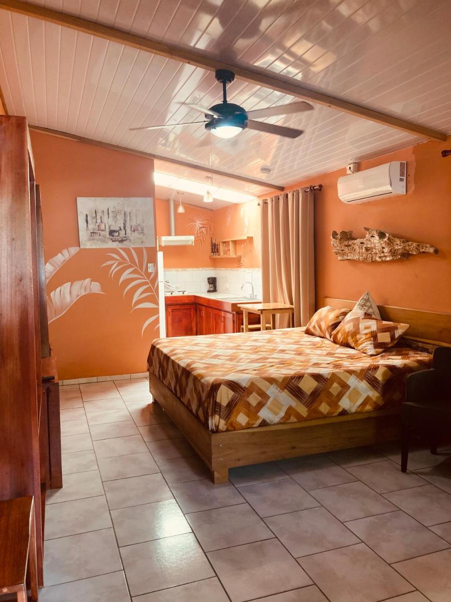 Caribbean Comfort - Housity