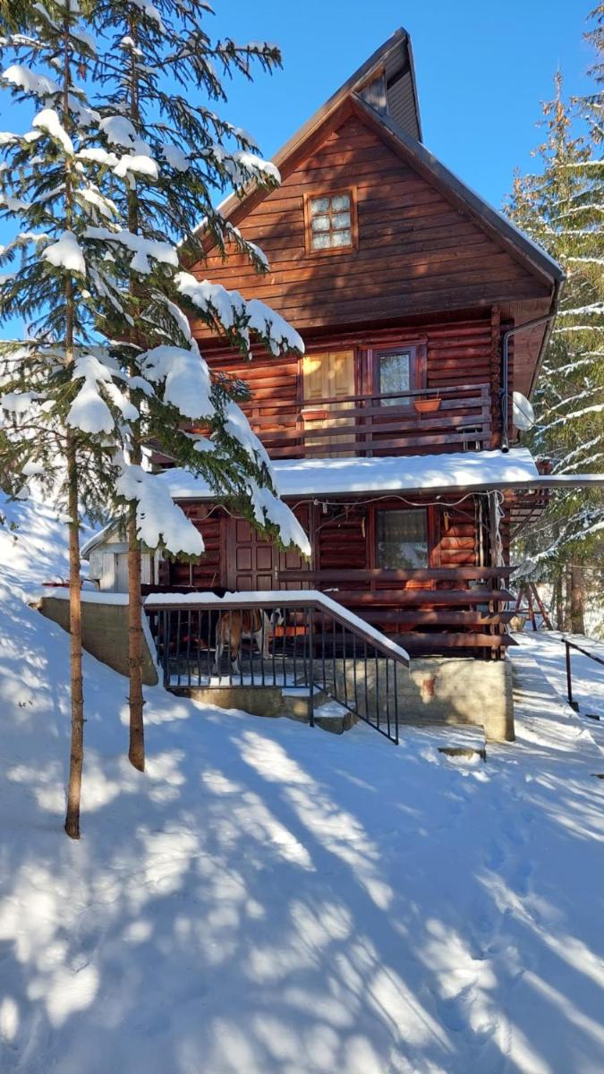 Cabana Dochita 2 - Housity
