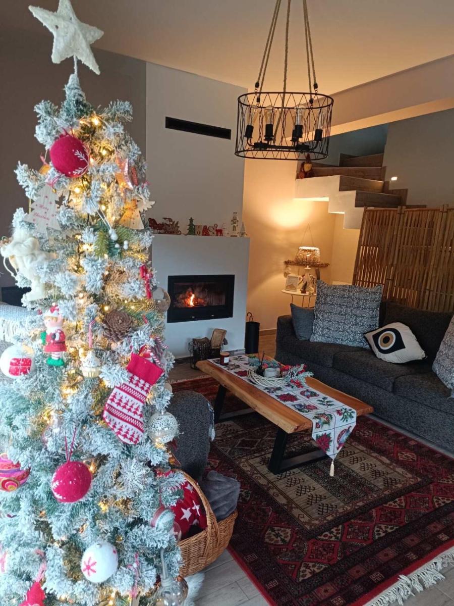 Stellas guesthouse near Arachova - Housity
