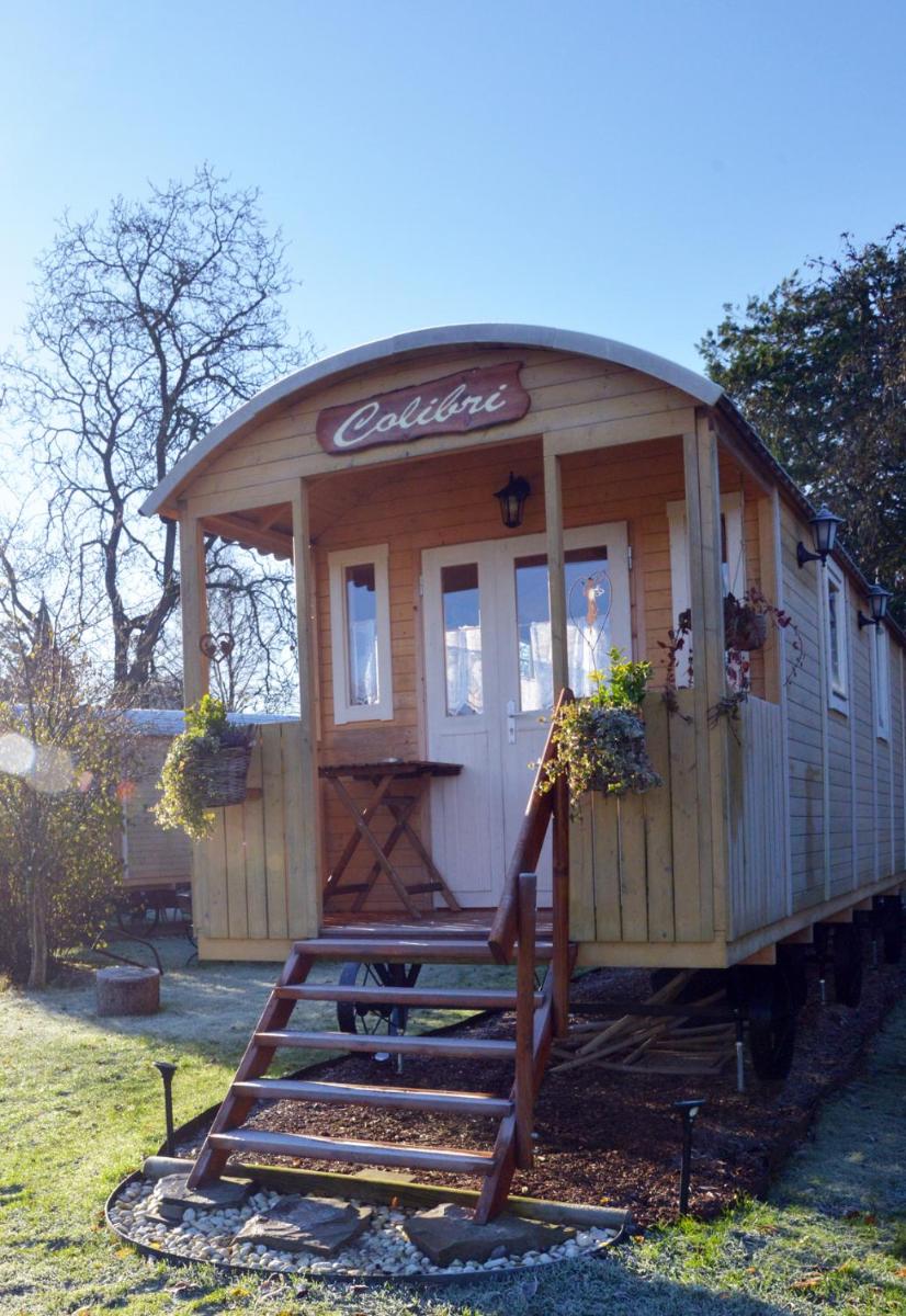 Insolites à Chimay - Roulottes et Manoir - Roulotte Colibri - Housity