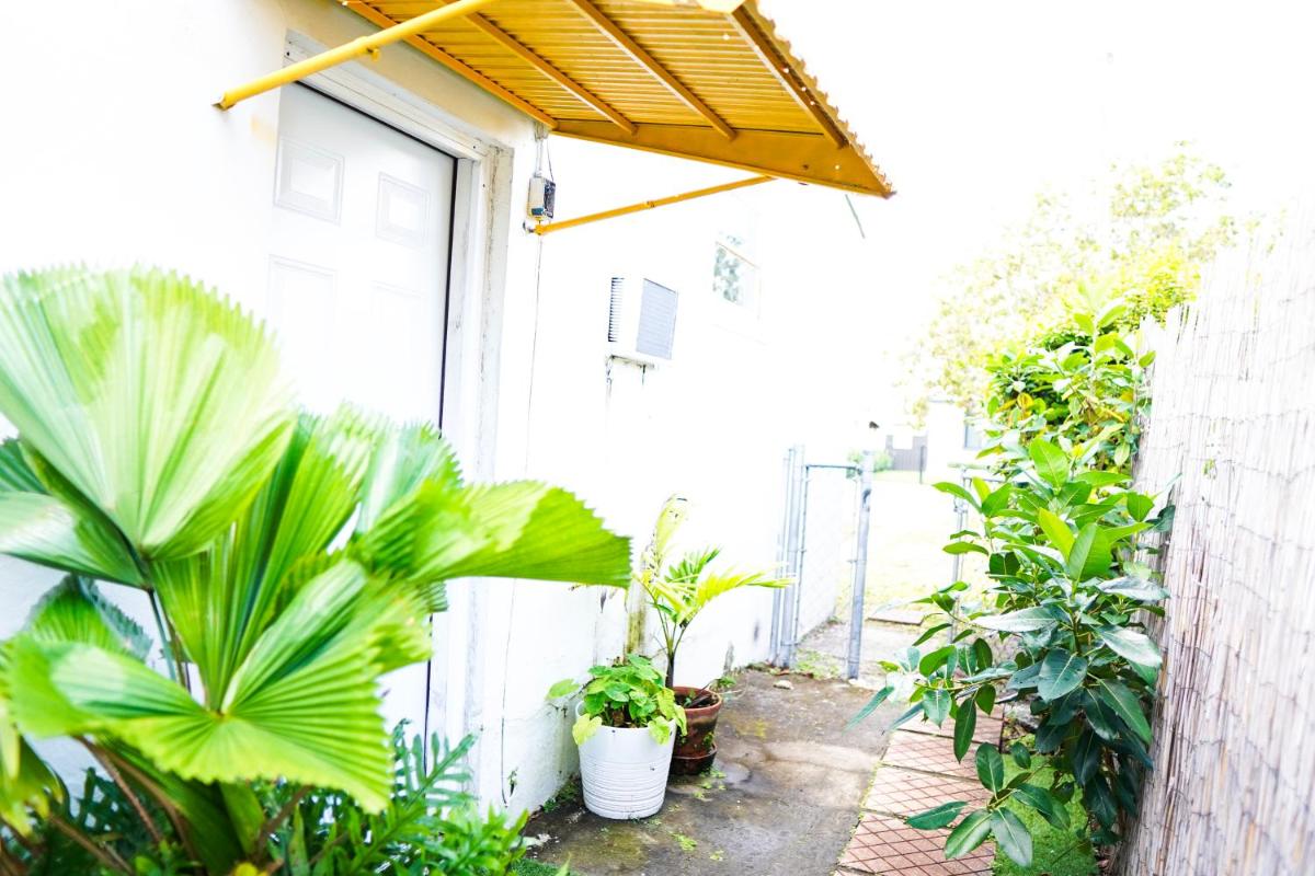 Tropical Cottage in Prime Airport Area - Housity