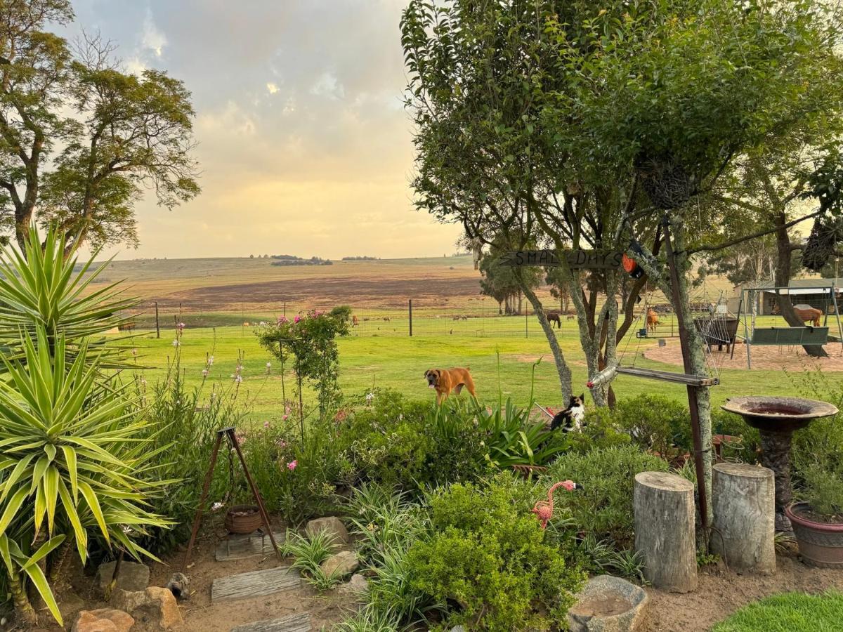 Echo Valley Guest Farm - Housity