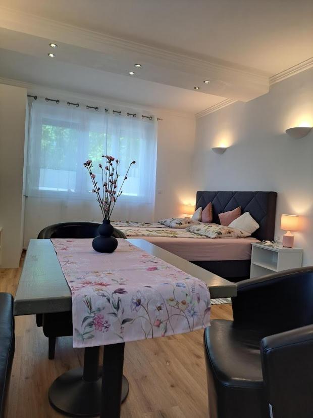 Vila Ema Apartments and Rooms - Hizvo