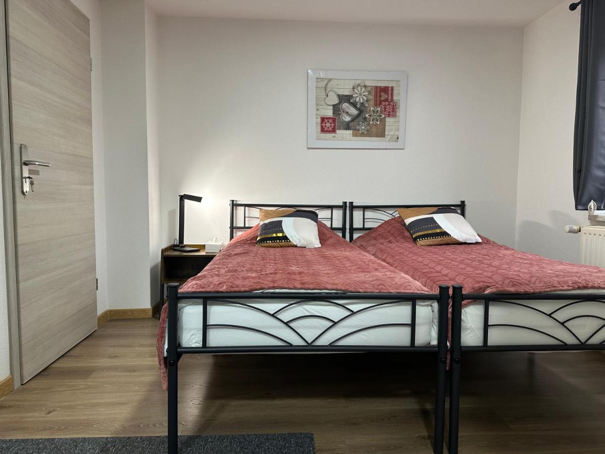 Les libellules - Housity