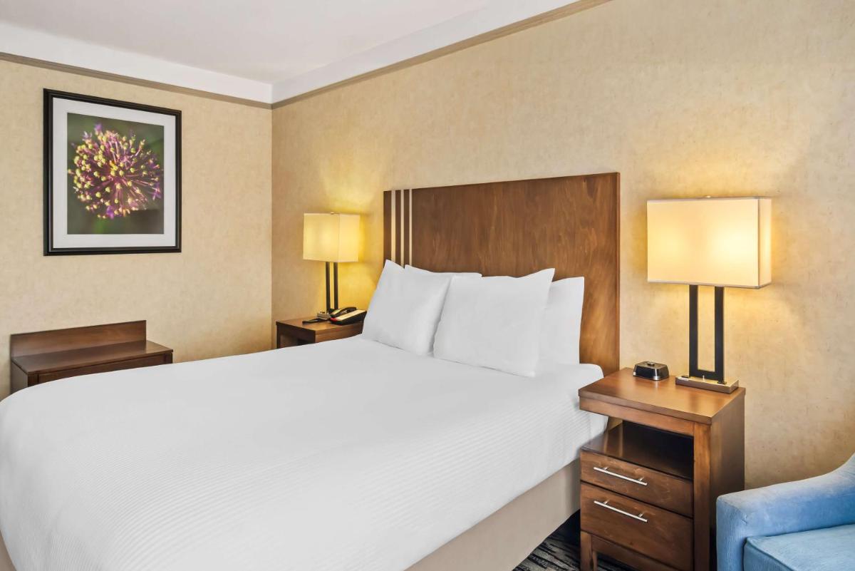 Best Western Plus Pitt Meadows Inn & Suites - Housity