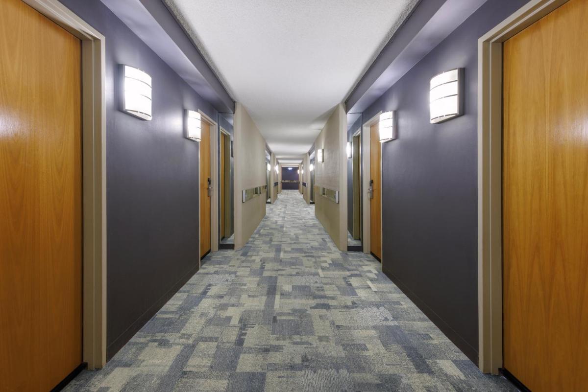 Best Western Plus Launceston - Housity