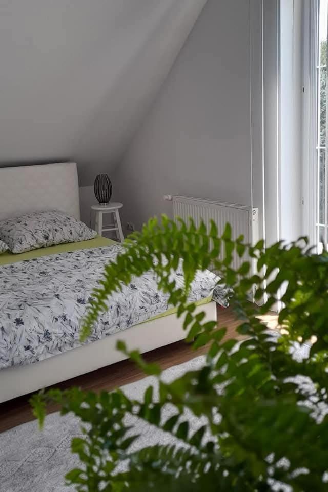 Pokoje Gościnne u Marka - Housity