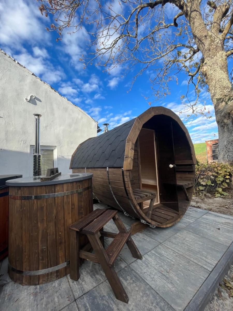 Siedlisko Besarabka - Housity