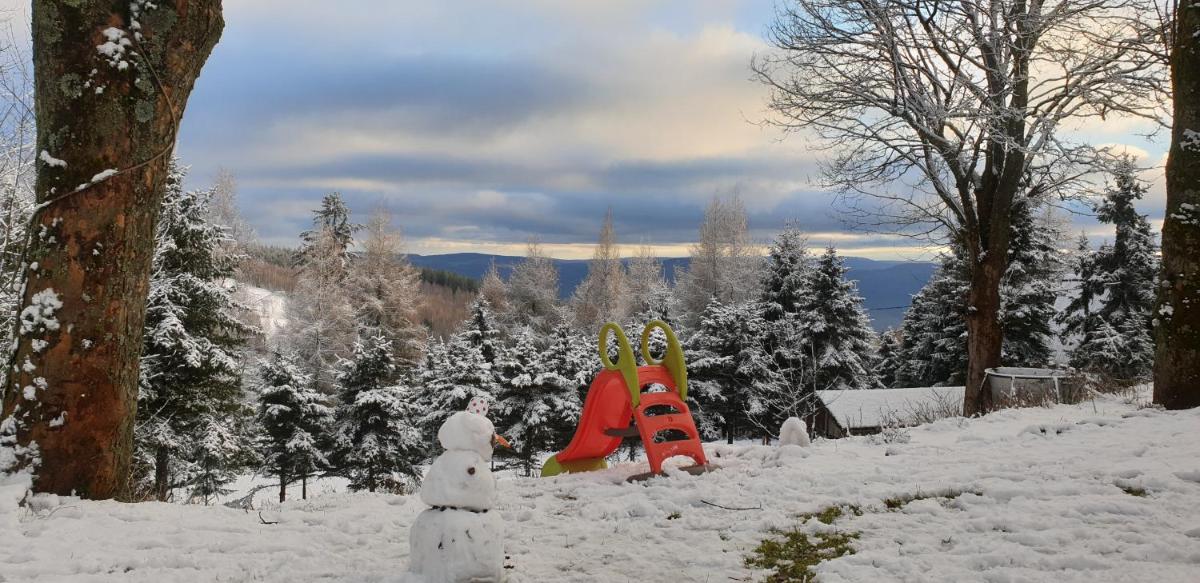 Five maple home for families and wild nature lovers - Housity