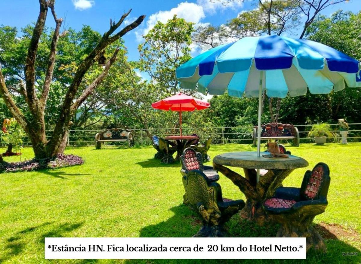 Hotel Netto - Housity