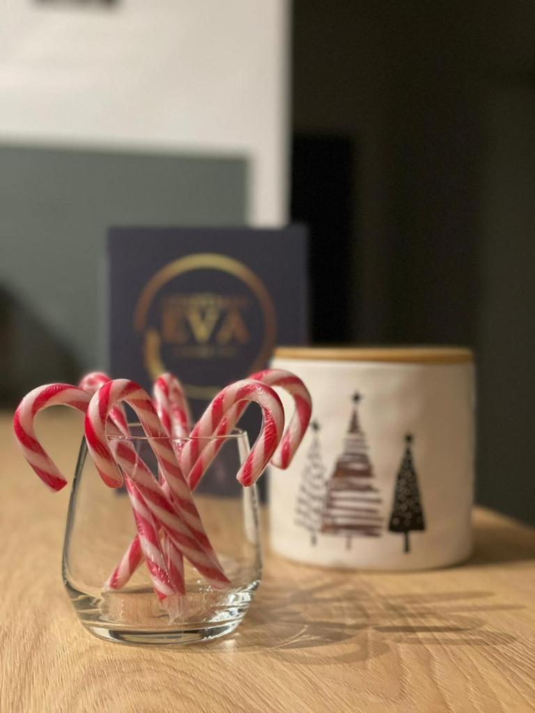 Apartman Eva, moderan stan u srcu Zagorja - Housity
