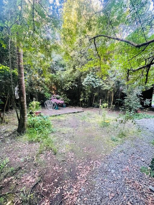 Hermosa Cabaña en el bosque - Housity