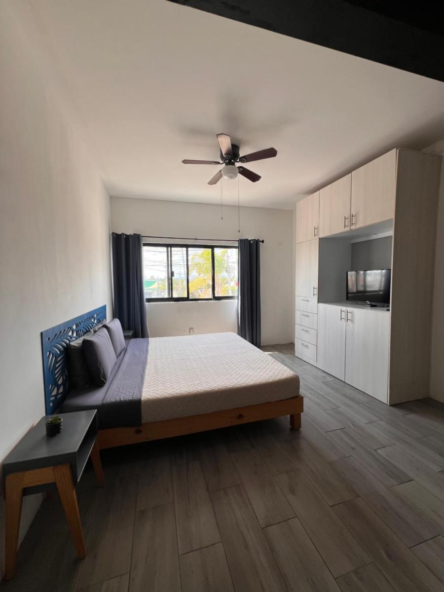 KAVA lofts - Housity