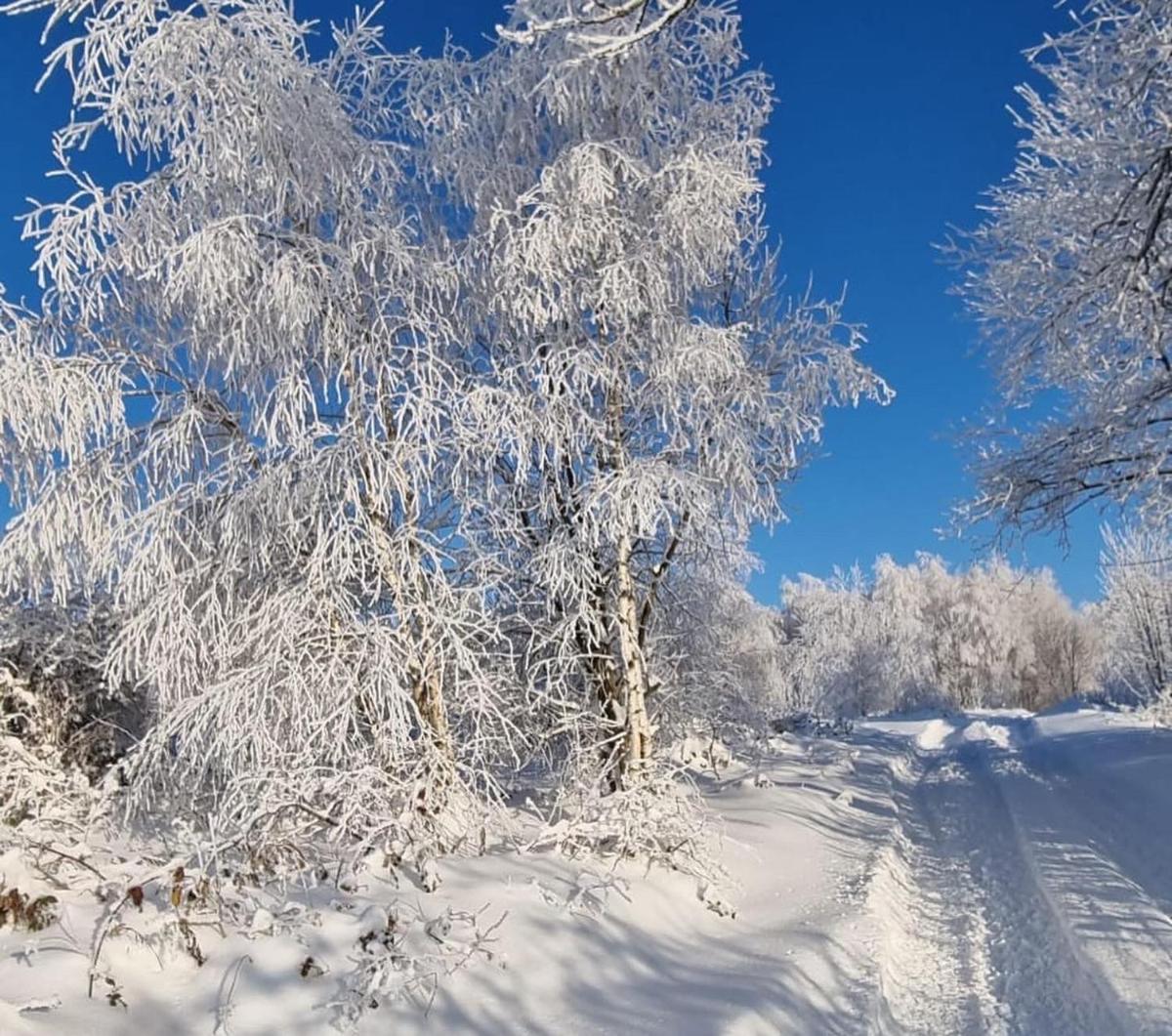 Beskidzki Reset - Housity
