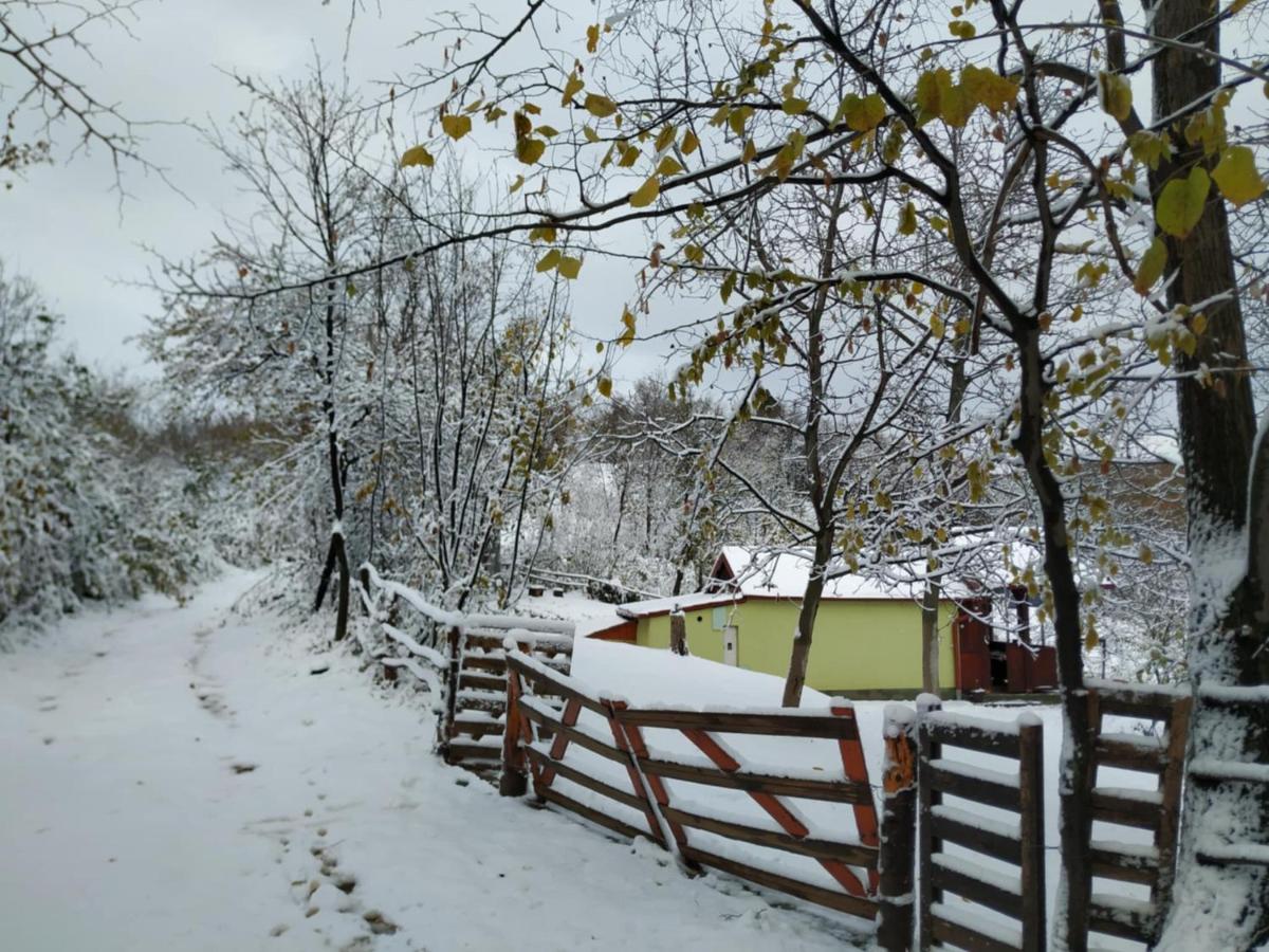 Holiday home Nanin konak 2 - Housity