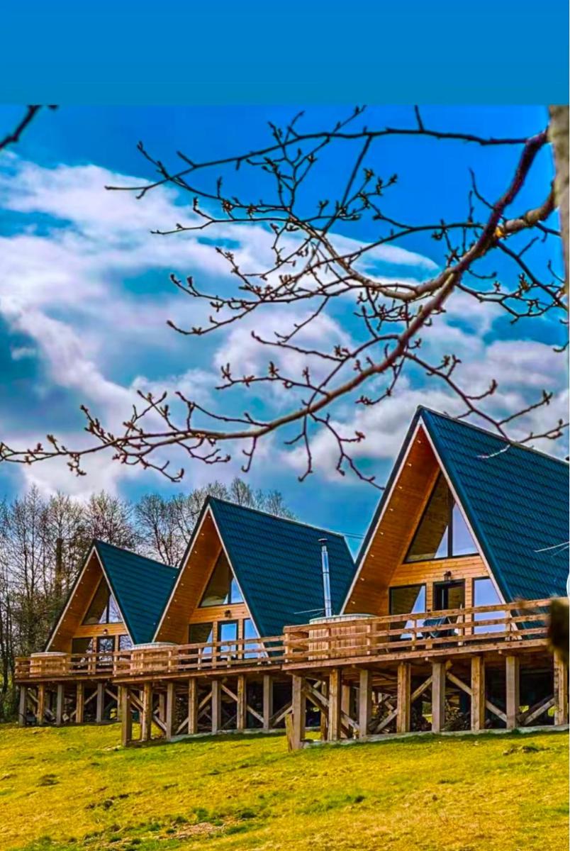 CABANA 365 - Housity