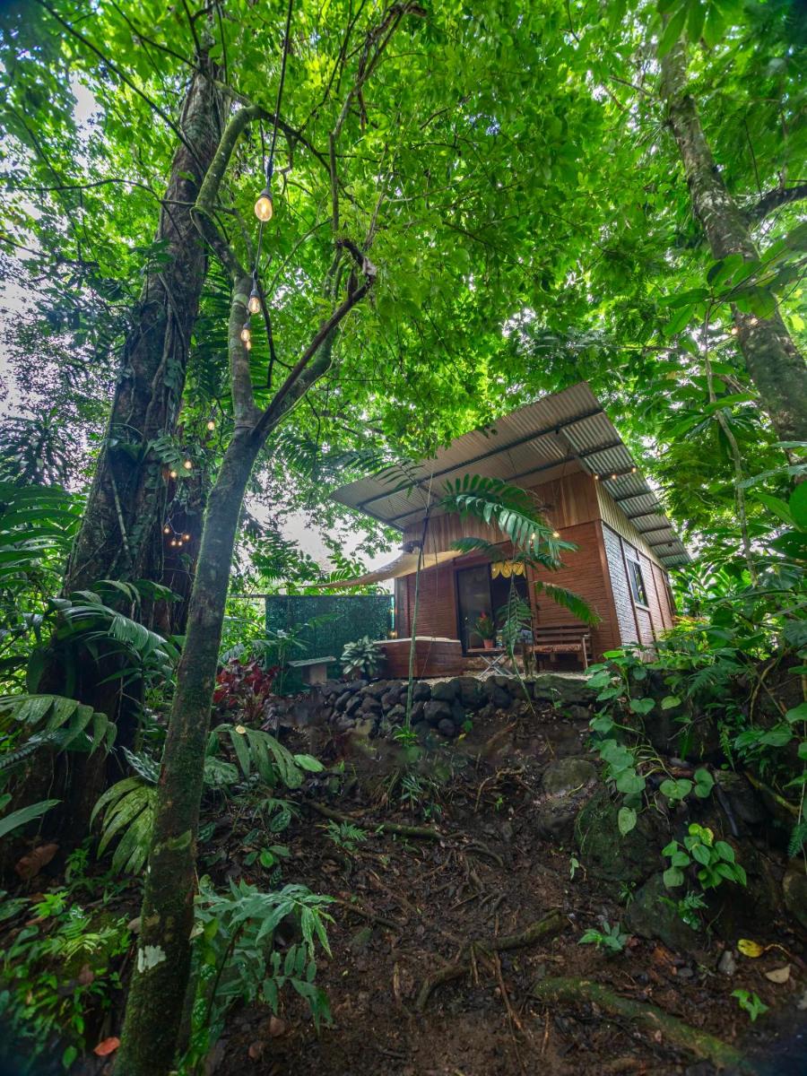 The frog house - Housity