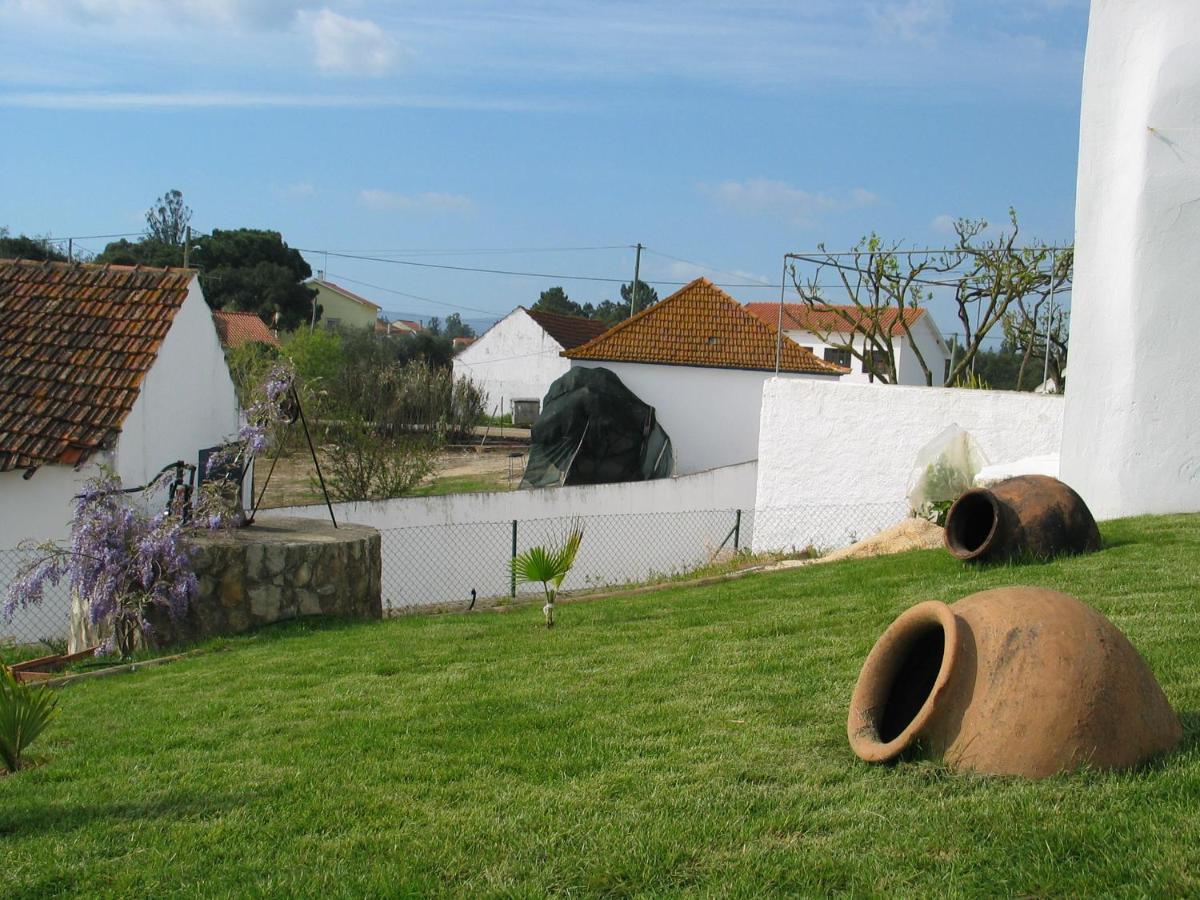 Casa da Palmeira - Housity