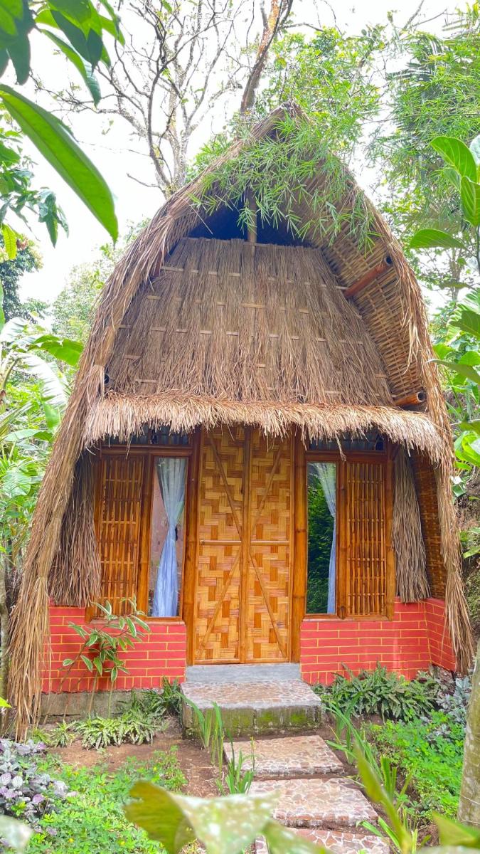 el bamboo guesthouse - Housity