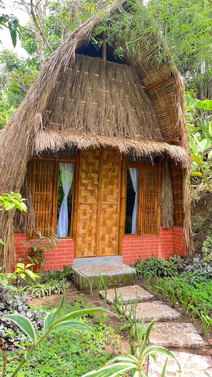 el bamboo guesthouse - Housity