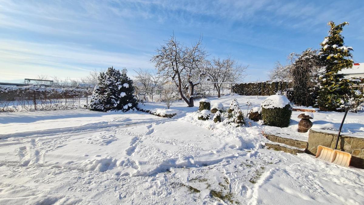 Clara Valis - Village House - Housity
