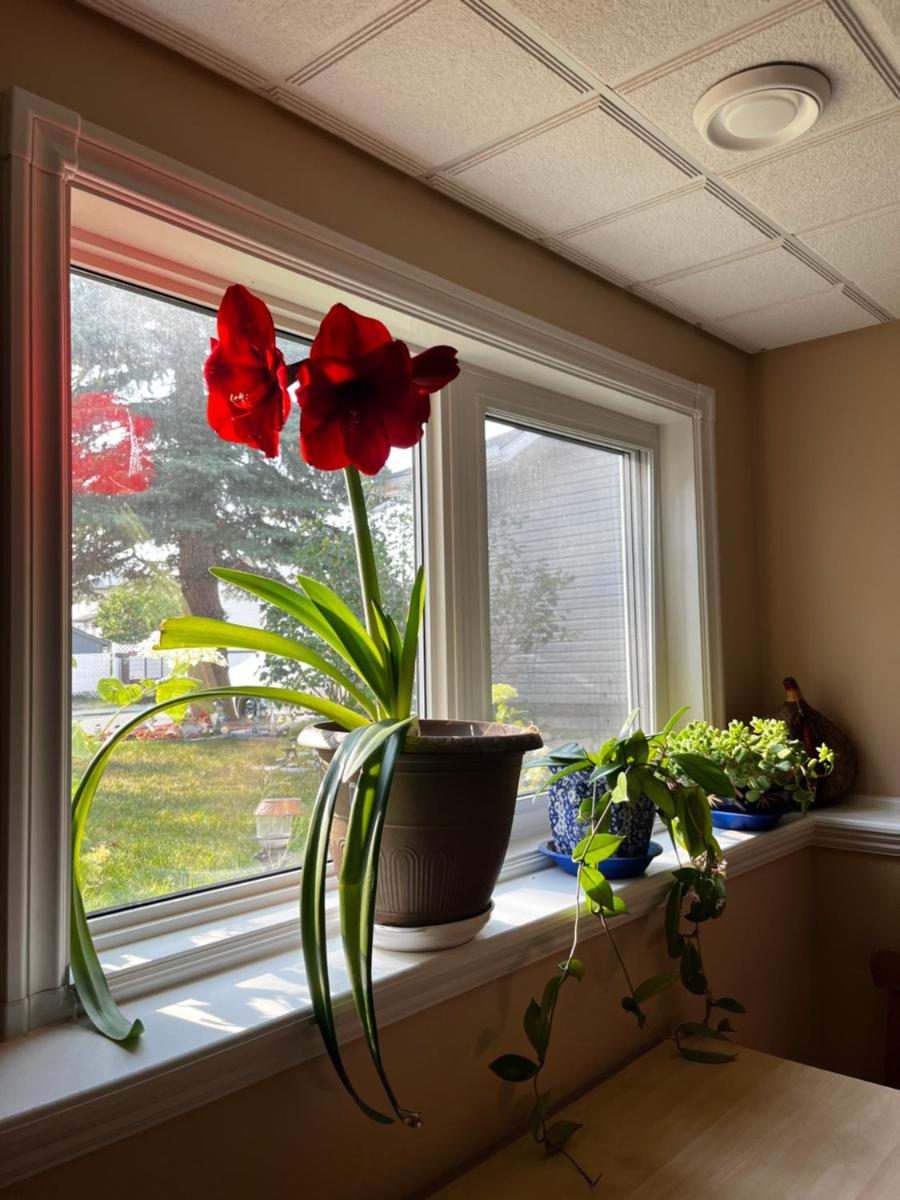 citadel hills valley - Housity