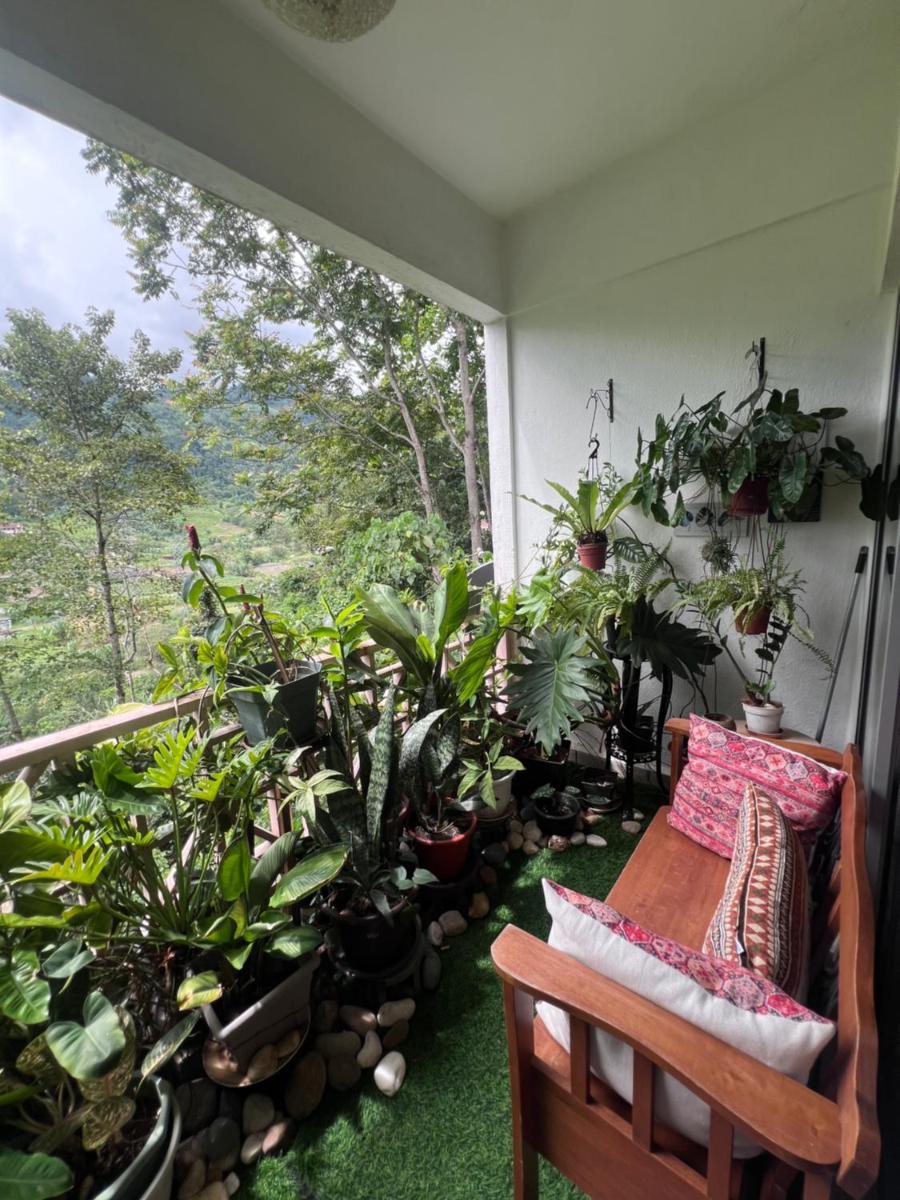 Rest House! Selesa Homestay Bukit Tinggi - Housity