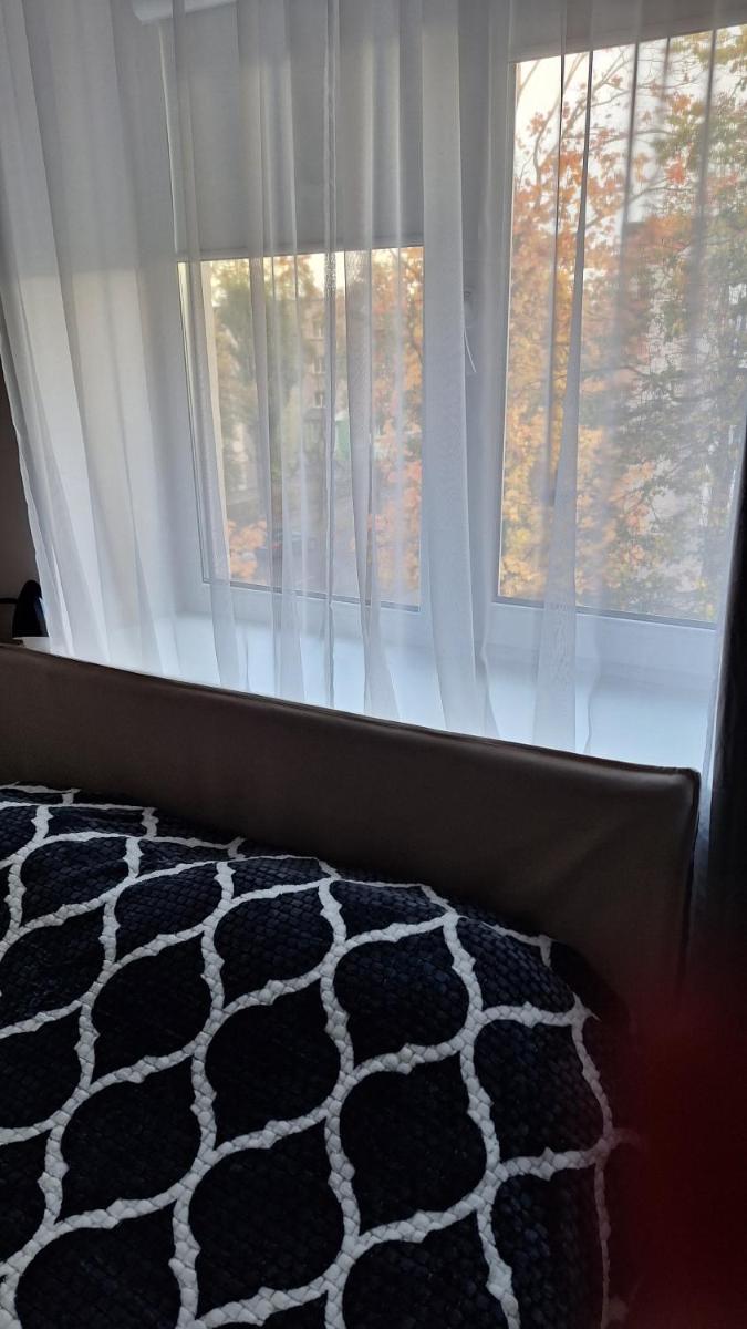 Šiauliai Central Cozy Apartment - Housity