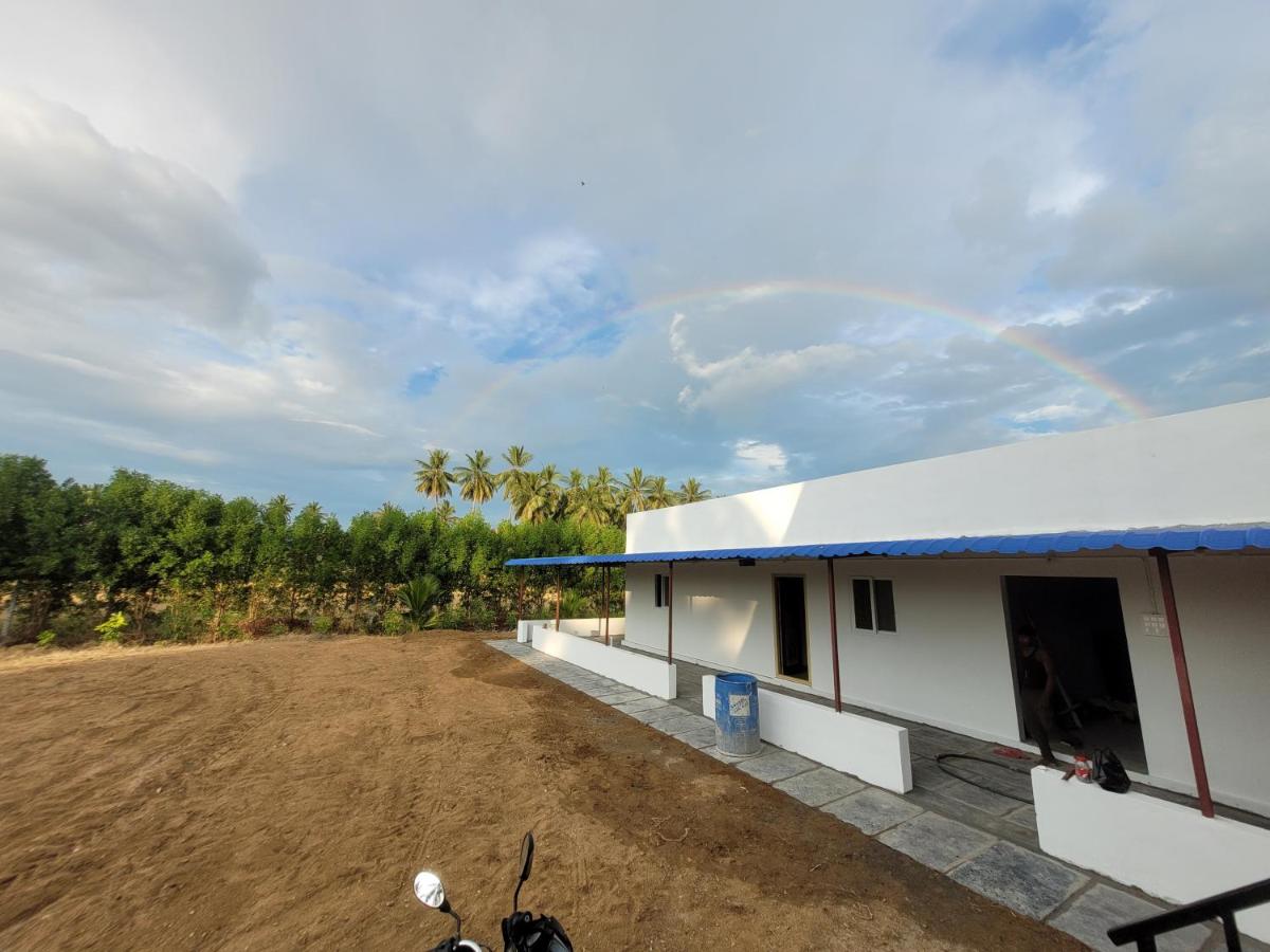 coconut tree guest house - Housity