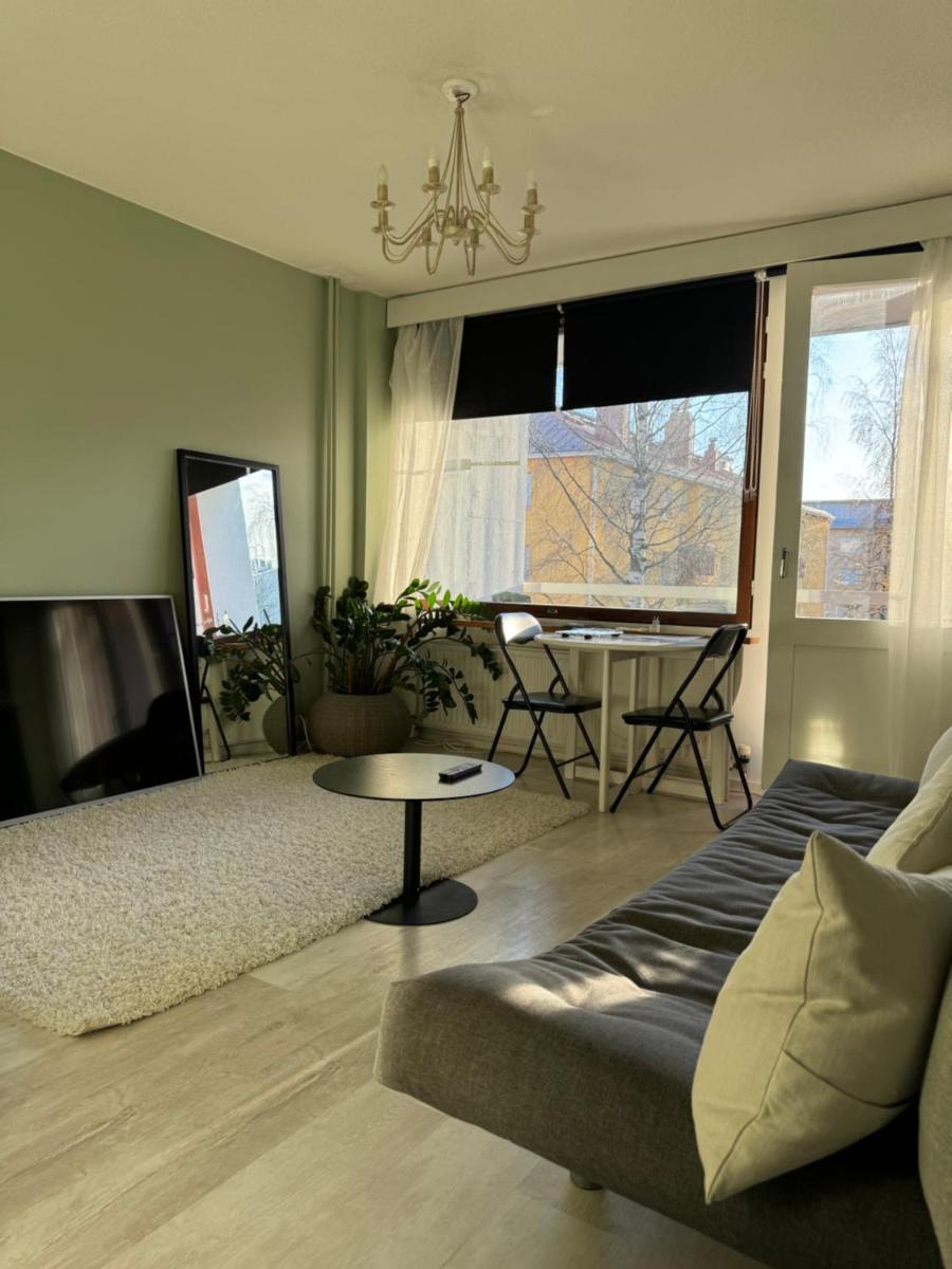 Kaunis yksiö, 600m keskustaan, ilm parkit - Housity