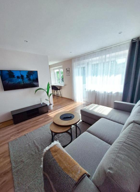 Šiauliai Central Cozy Apartment - Housity
