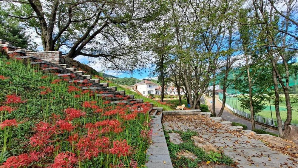Hapcheonho View Smile Pension - Housity