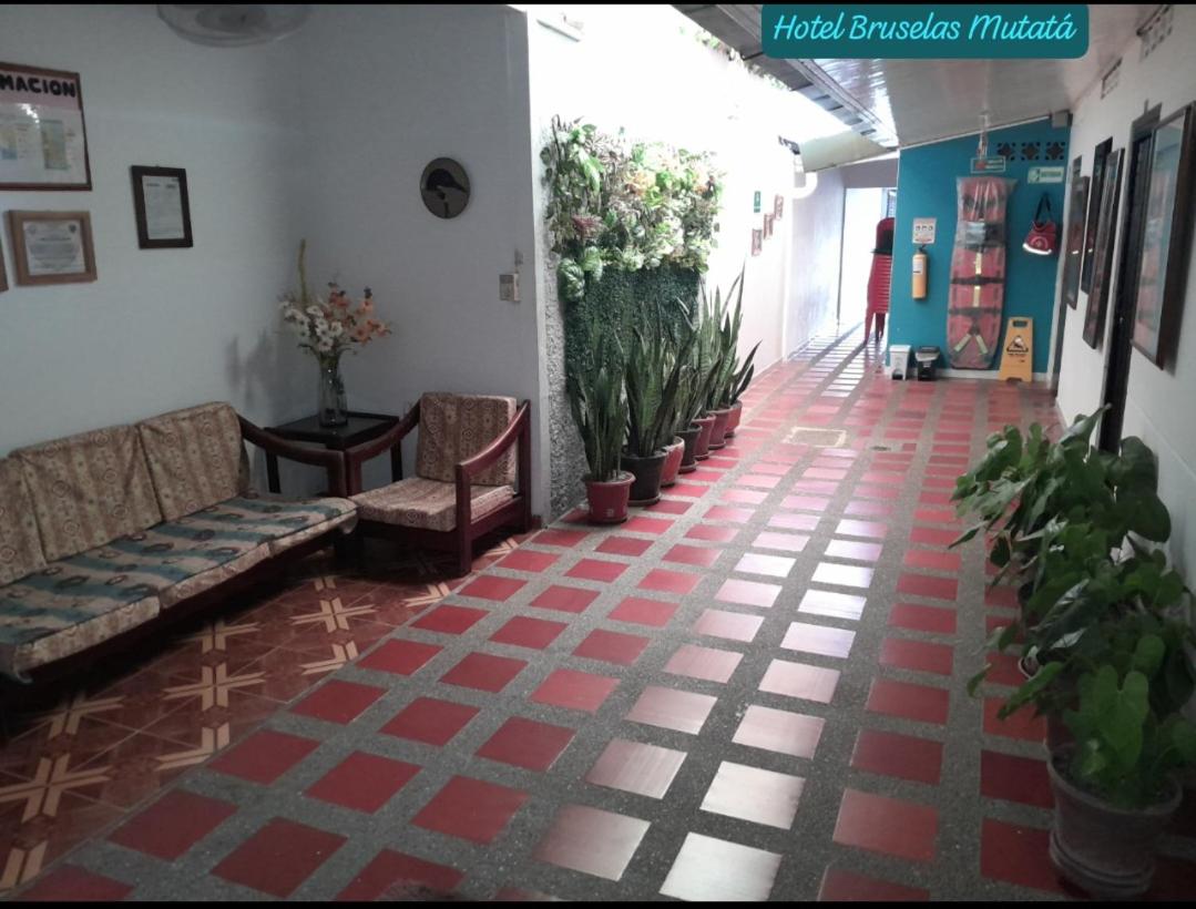 Hotel Bruselas Mutata - Housity