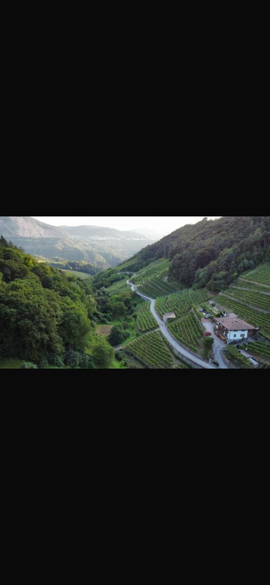Agritur Maso Val Fraja - Hizvo