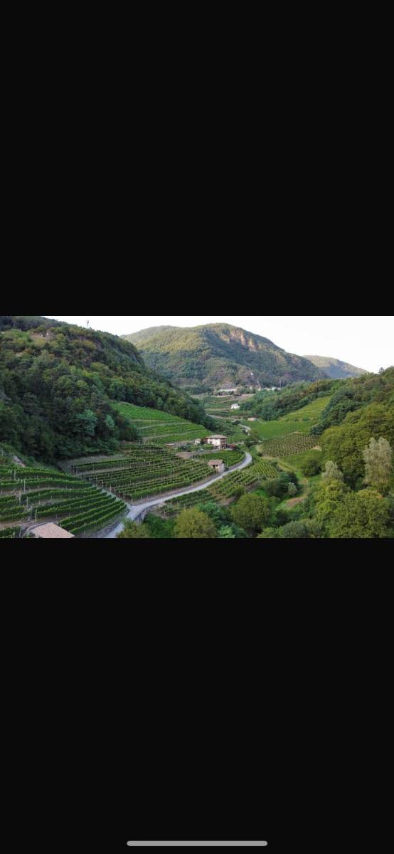 Agritur Maso Val Fraja - Hizvo