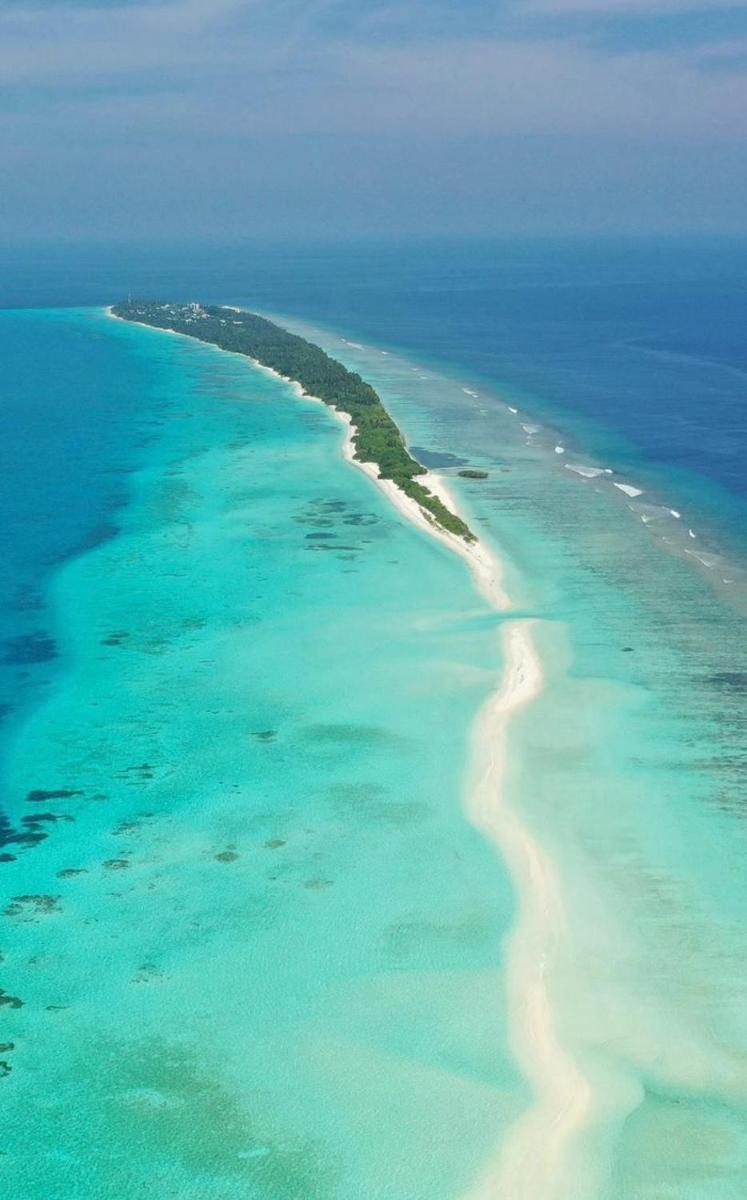 Nikabliss Dhigurah - Housity
