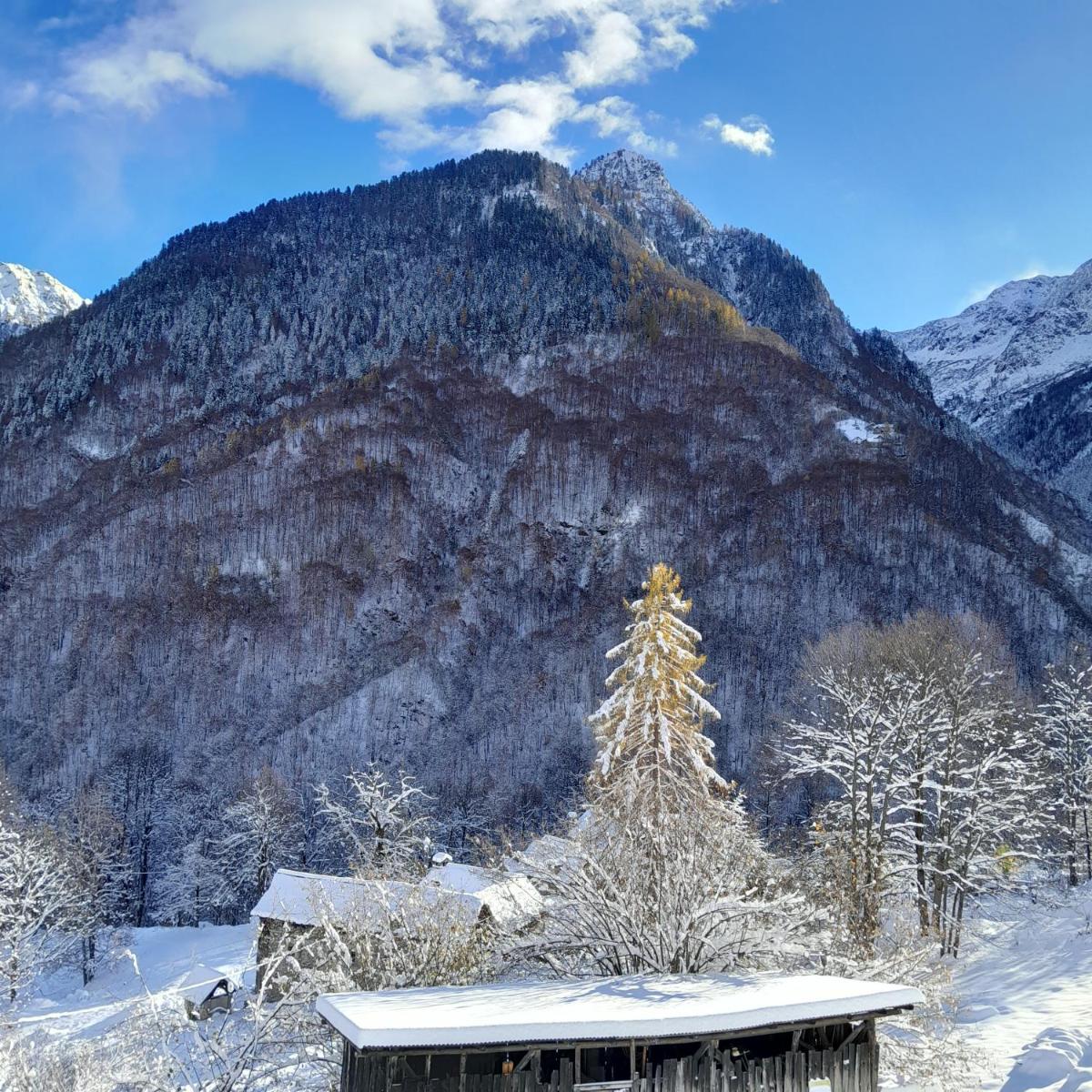 Casa all'Alpe Gaggetto B & B - Housity