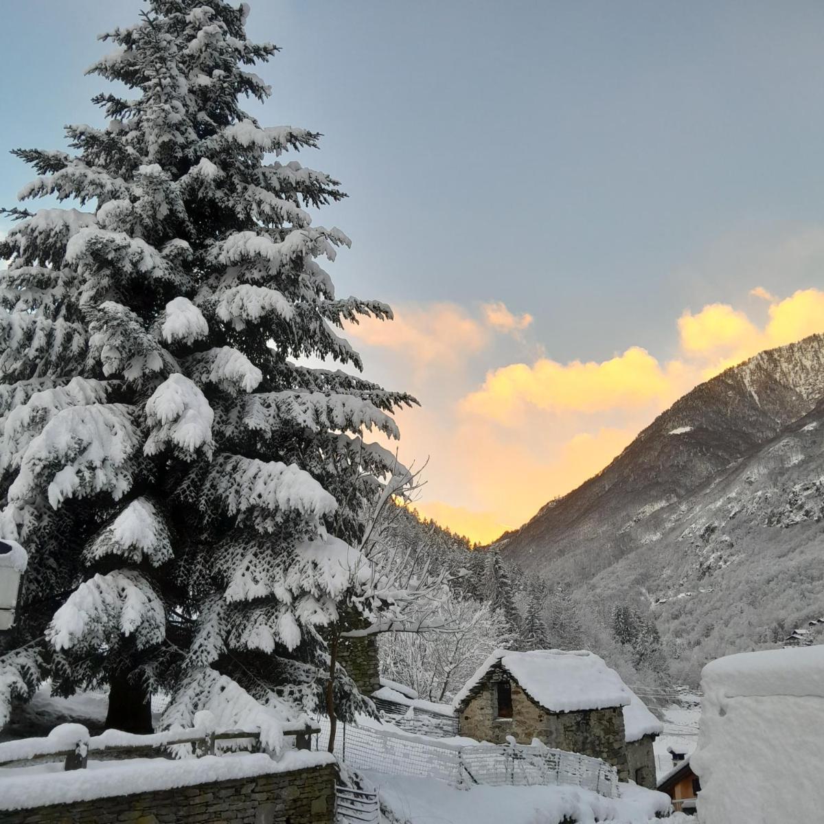 Casa All'Alpe - Housity