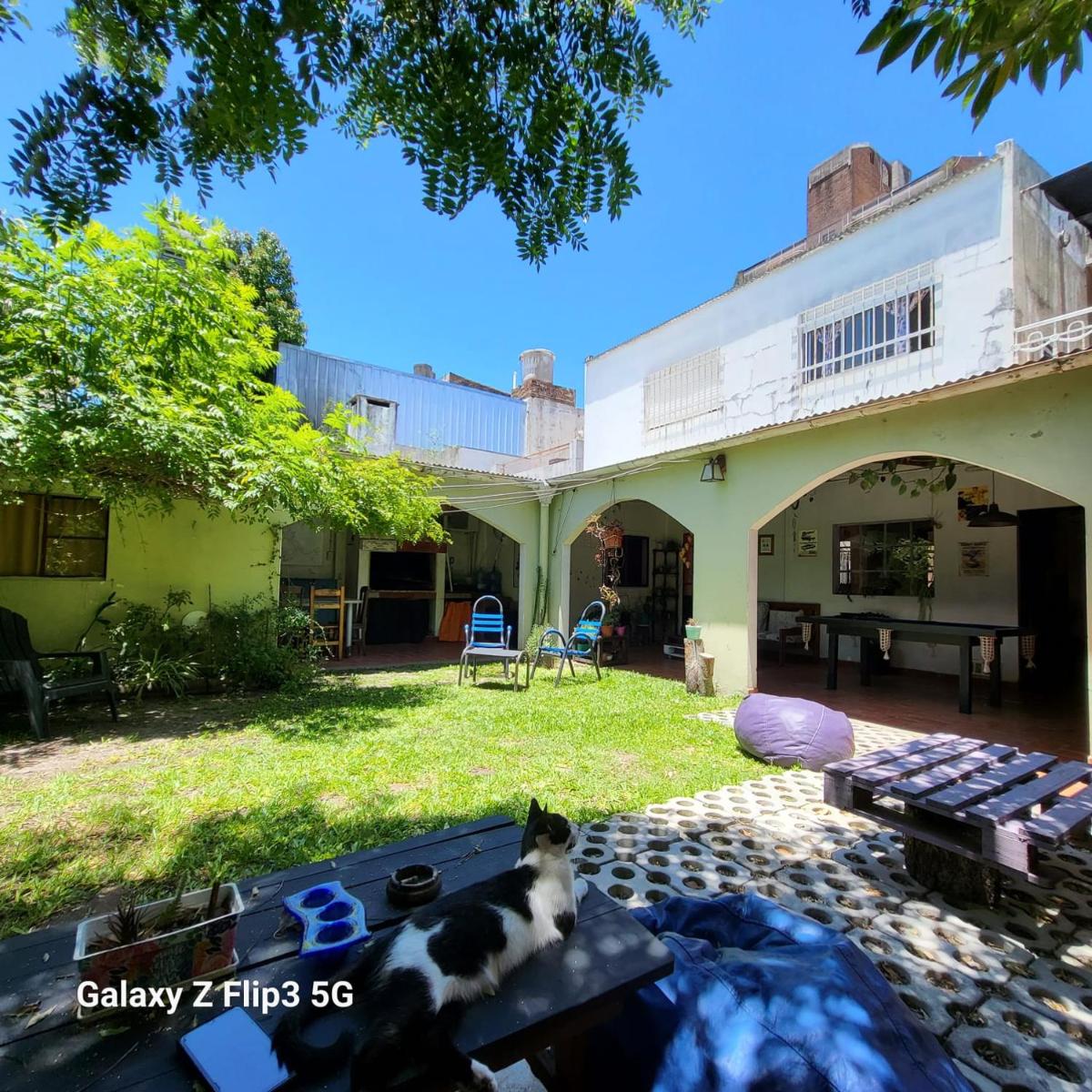 DCH Hostel Backpaquers - Housity