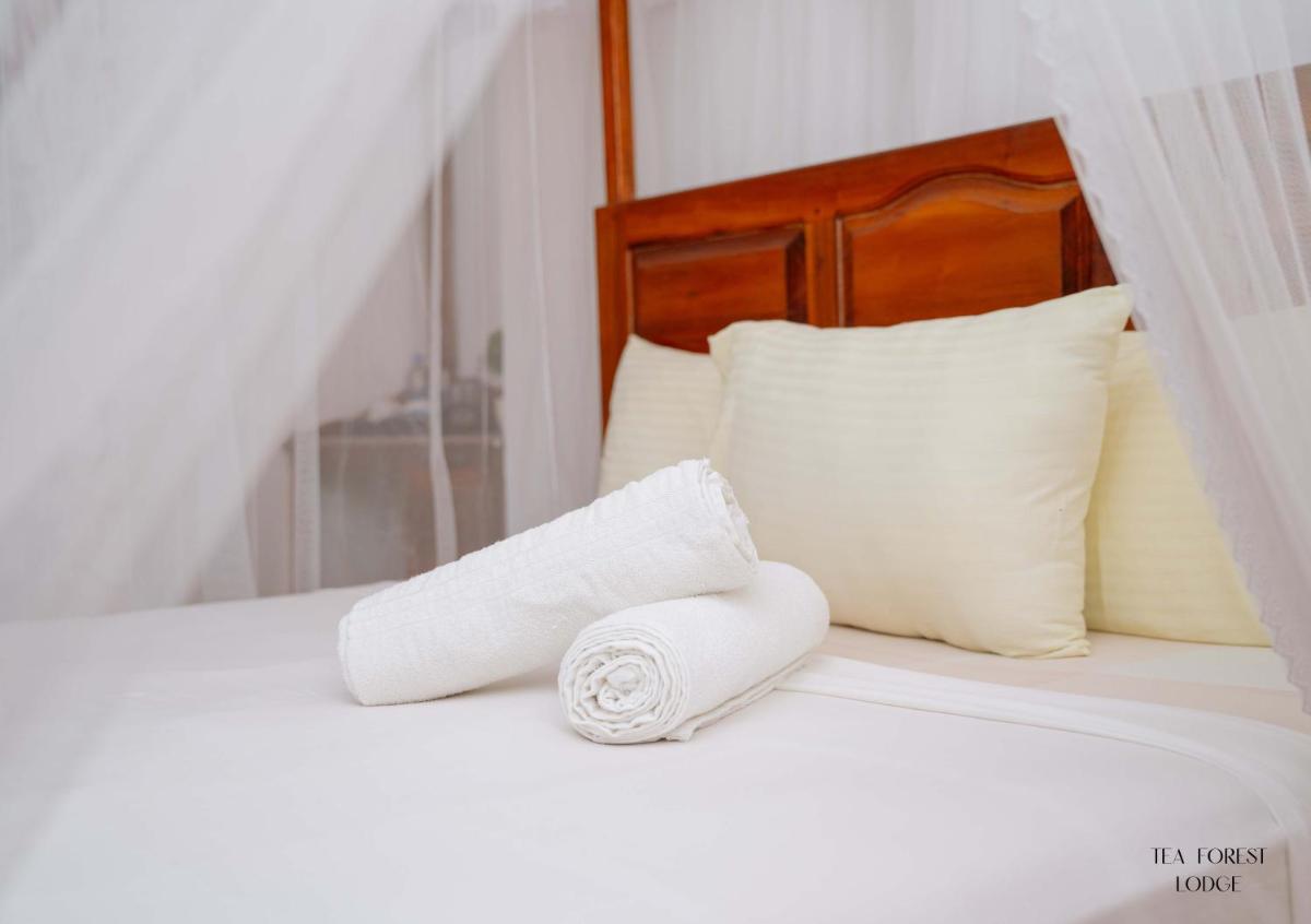 Tea Forest Lodge - Housity