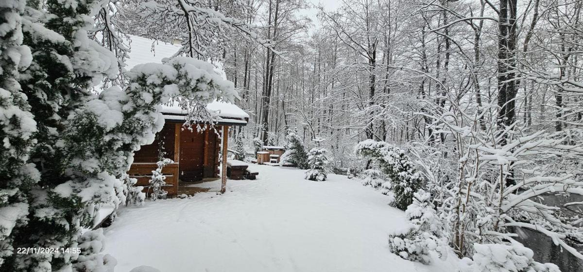 Vodenica Vrelo Chalets - Housity