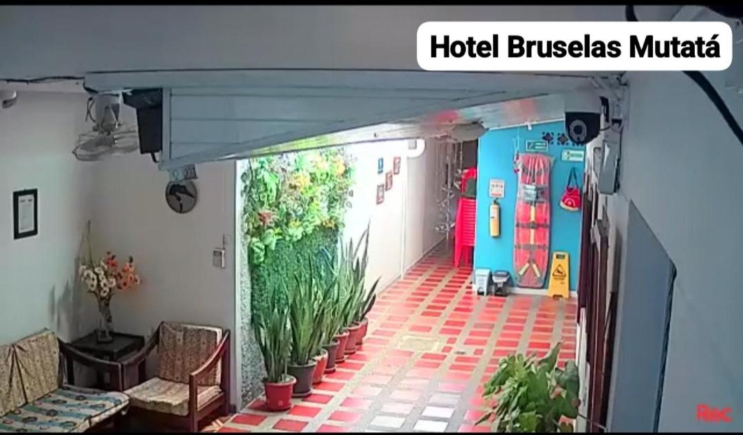 Hotel Bruselas Mutata - Housity