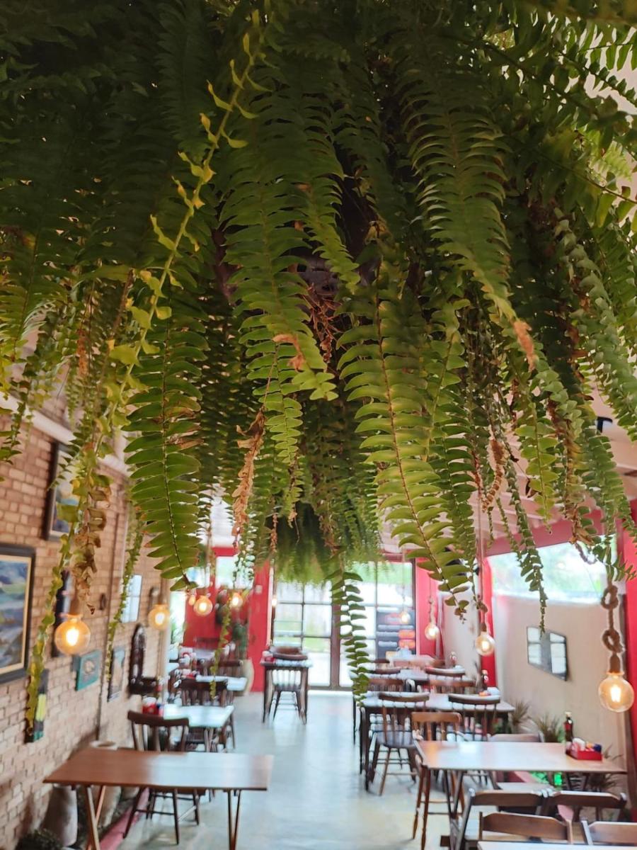 Renoah Pousada - Housity