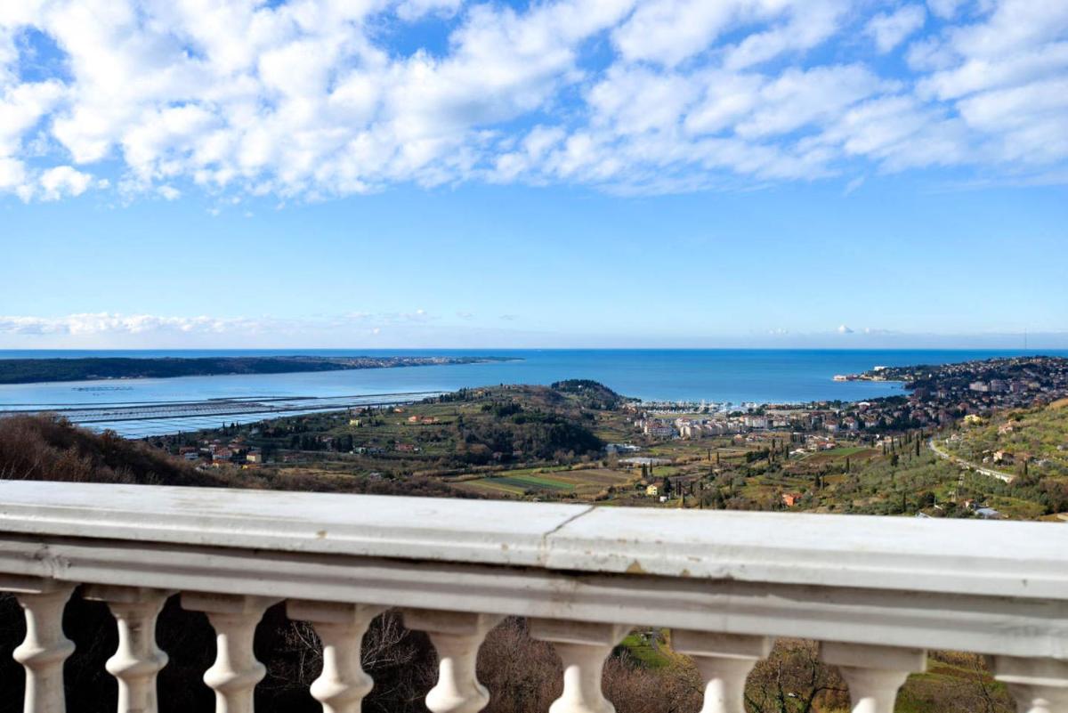 Apartments Rosemary - Housity