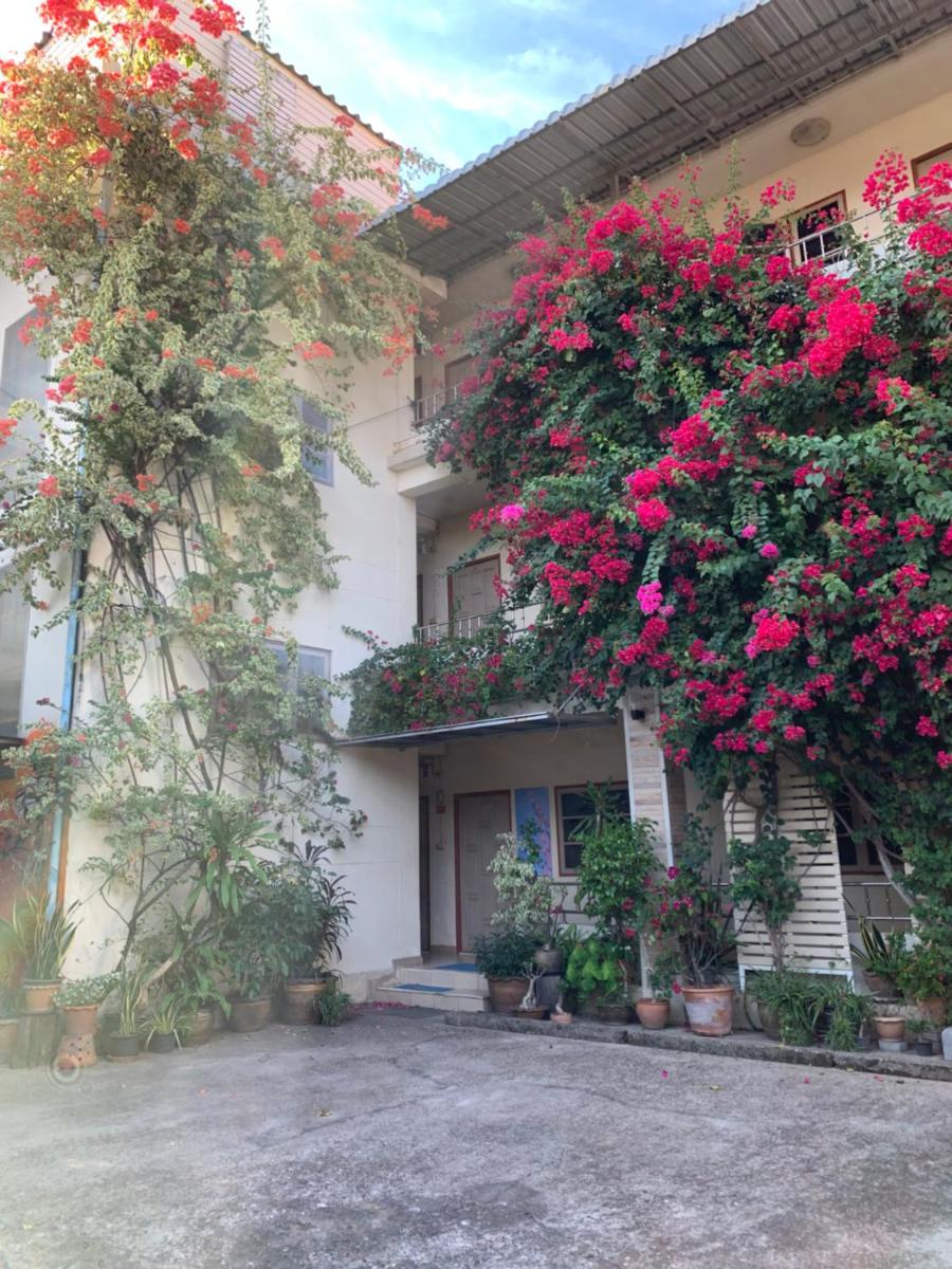 Pikul Apartment Hotel - Housity