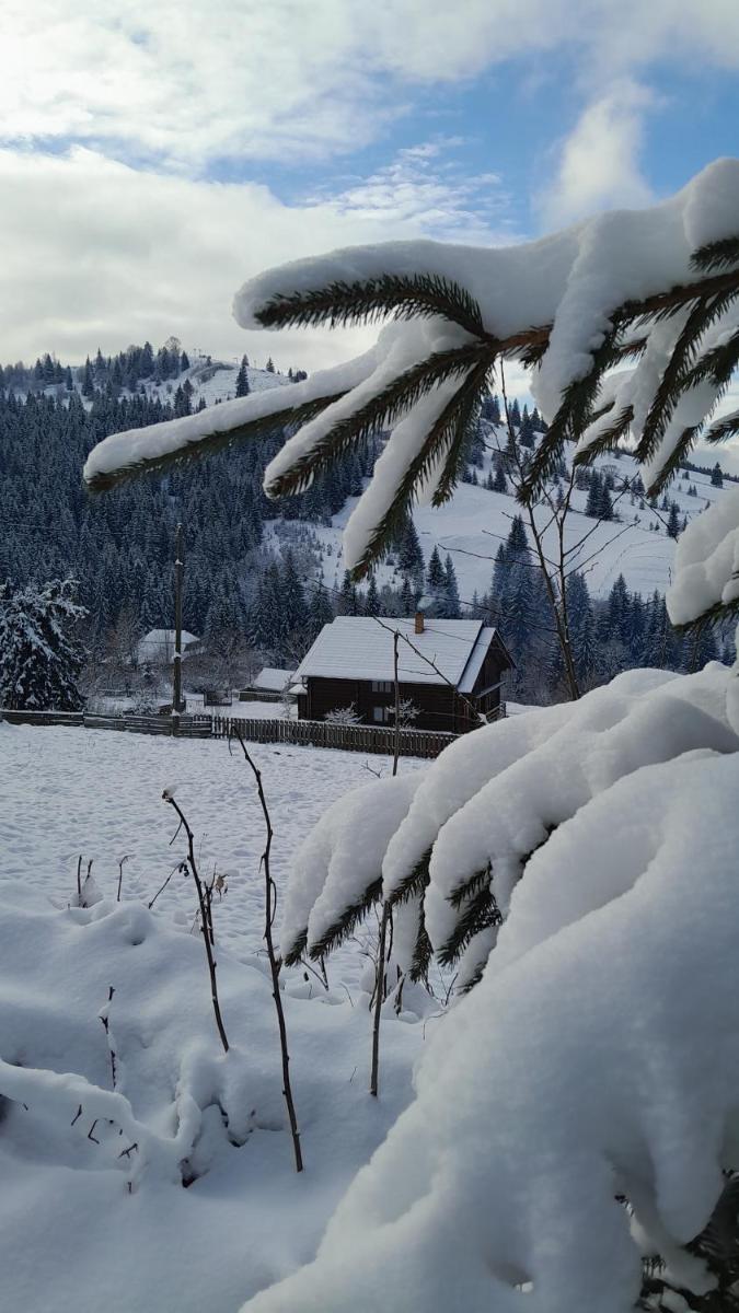 Villa Filiak - Housity