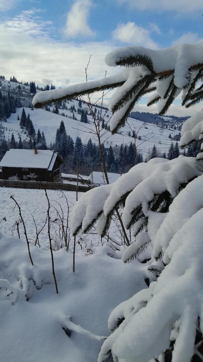 Villa Filiak - Housity