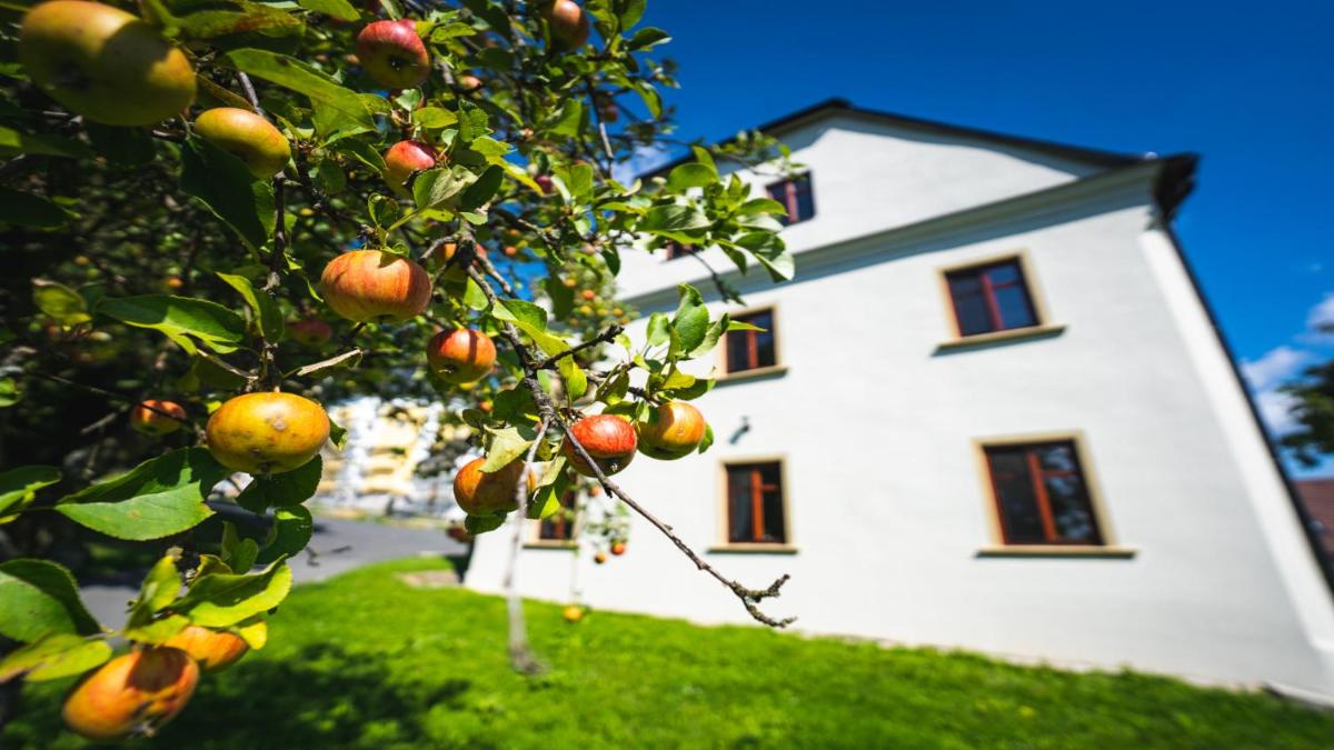 Penzion U Křížové Cesty - Housity