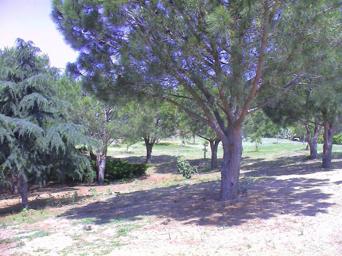 Borgo Piazza Country Farm - Housity