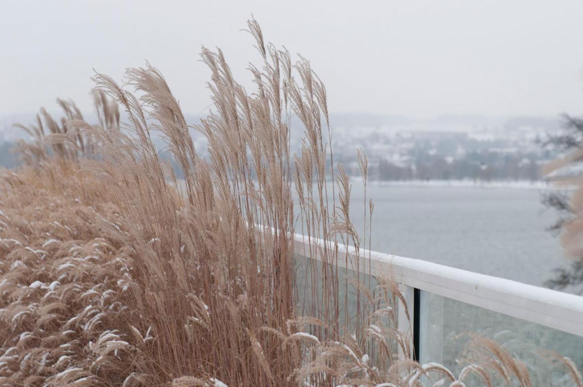 RIVA - Das Hotel am Bodensee - Housity